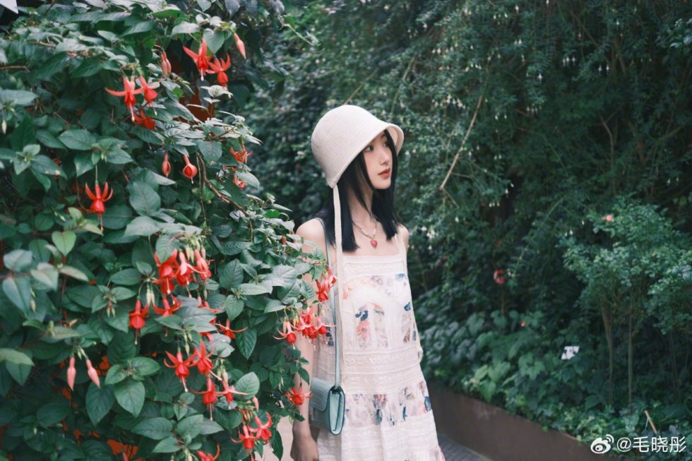 上海糖爹标准解析