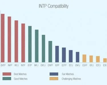 INTP和哪些MBTI类型最合拍？完整匹配指南