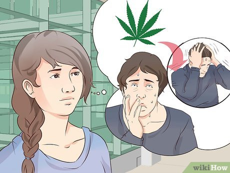 Step 3 Educate yourself about marijuana and its effects.